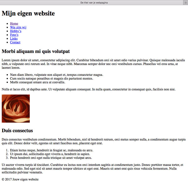 voorbeeld van webpagina met de gratis html-code